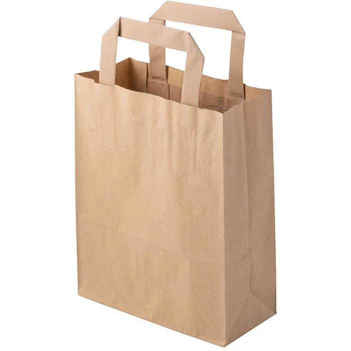 Biozoyg Tragetaschen Braun, 18 X 22cm, Papiertüten Mit Henkel, 250 Stück