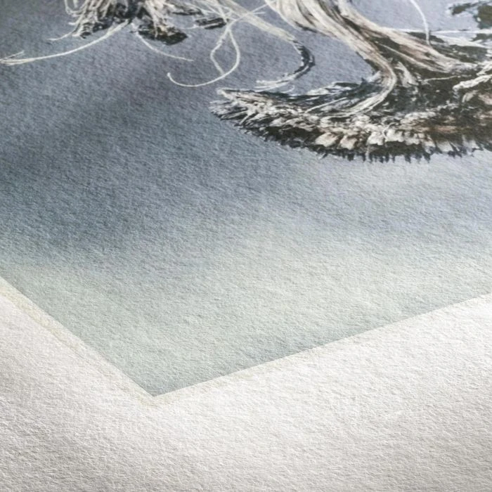 Hahnemühle Inkjet-Papier FineArt Textured, A4, SamplePack, 5 Qualitäten, Matt, Einseitig 10 Blatt – Bild 6