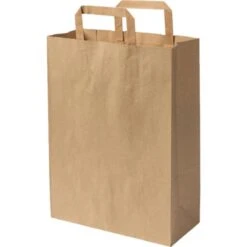 Biozoyg Tragetaschen Braun, 26 X 35cm, Papiertüten Mit Henkel, 250 Stück