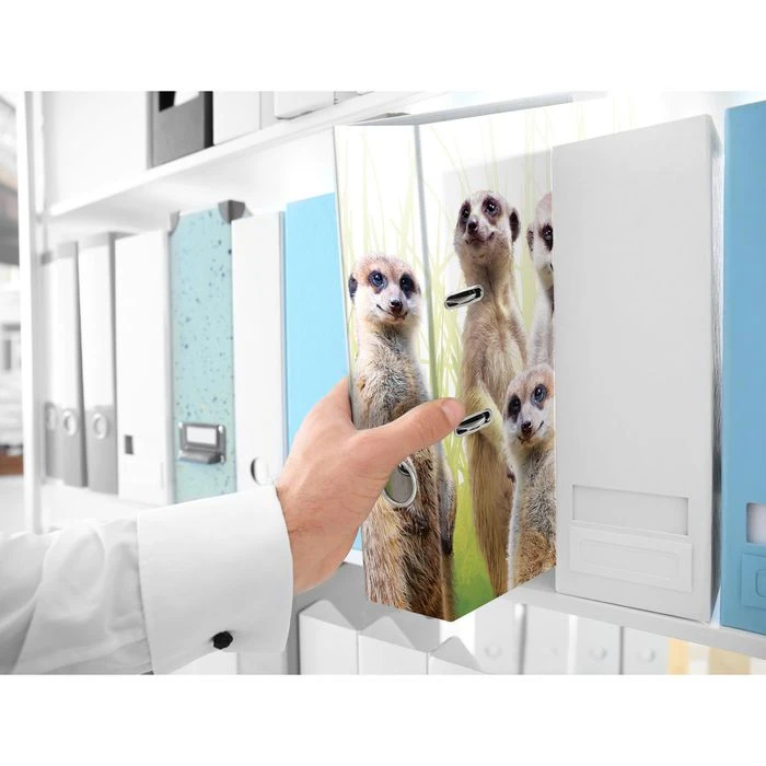 Herma Ordner 19955 Exotische Tiere, Karton, A4, 7cm, Motiv Erdmännchentruppe – Bild 3