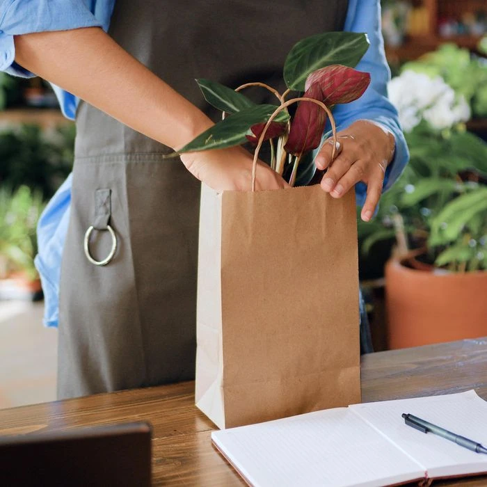 Folia Tragetaschen Braun, 18 X 21cm, Papiertüten Mit Henkel, 20 Stück – Bild 3