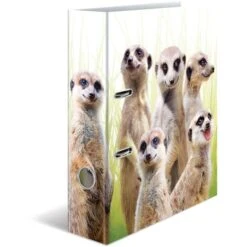 Herma Ordner 19955 Exotische Tiere, Karton, A4, 7cm, Motiv Erdmännchentruppe